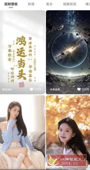 牛牛小组件1.5.10高级版-天梦资源网