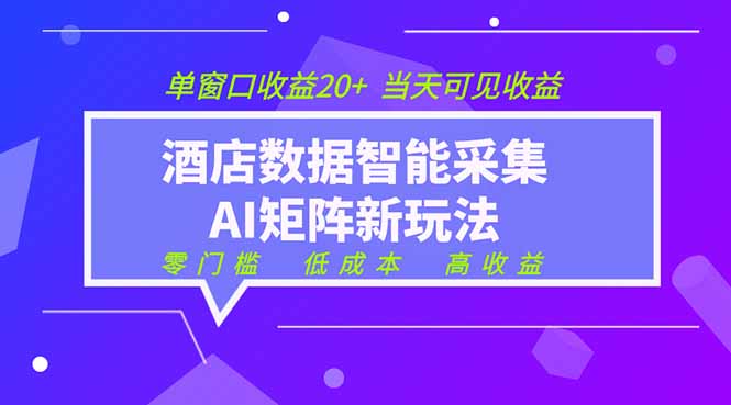 2026酒店数据采集ai智能矩阵新风口 低成本 高收益 当天见收益 单窗口20+-天梦资源网
