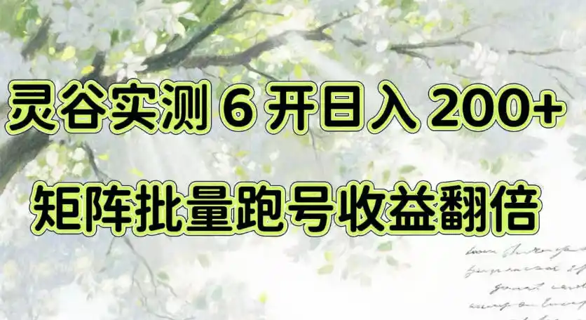 一台电脑就能做！灵谷实测6开日入200+，矩阵批量跑号收益翻倍【揭秘】-天梦资源网