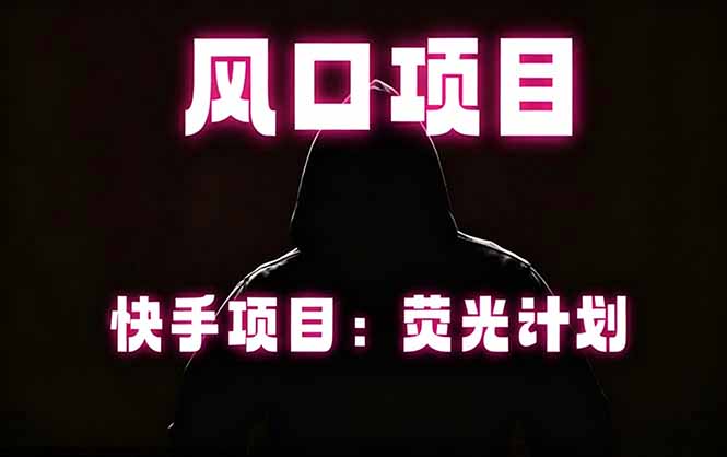 快手风口项目，荧光计划托管，长期稳定，适合批量做-天梦资源网