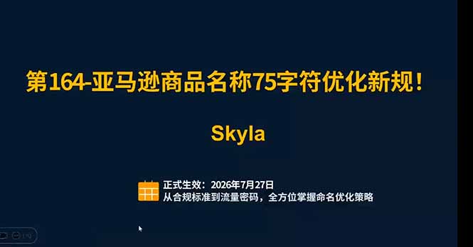 亚马逊跨境实战课：全品类选品逻辑｜SP/SB/SD广告精细化｜新品打爆旺季爆单全套运营教程-天梦资源网