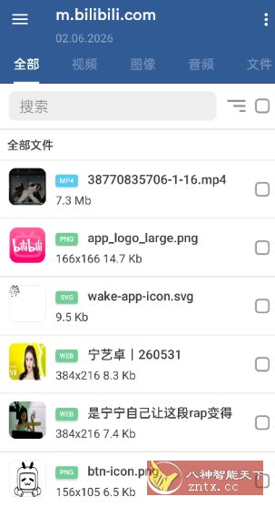 GetThemAll全能下载器3.6.5-天梦资源网