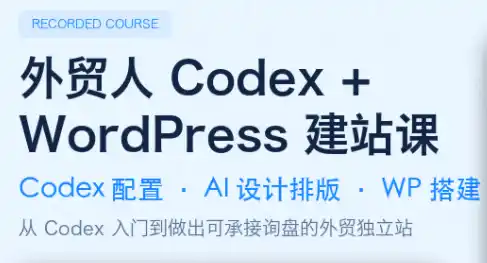大卫·外贸人Codex + WordPress建站课(更新8月)-天梦资源网
