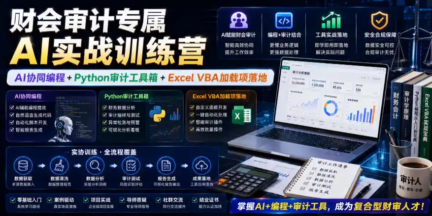 财会审计专属AI实战训练营｜AI协同编程+Python审计工具箱+Excel VBA加载项落地(更新0816)-天梦资源网
