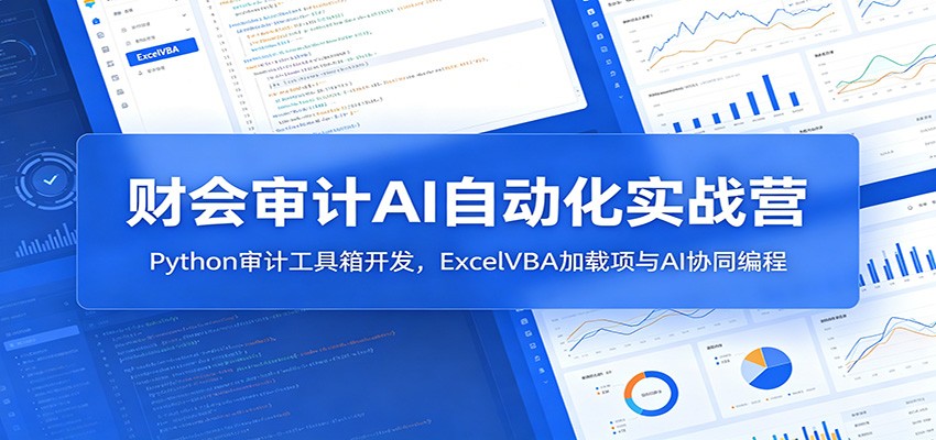 财会审计AI自动化实战营：Python审计工具箱开发，ExcelVBA加载项与AI协同编程-天梦资源网