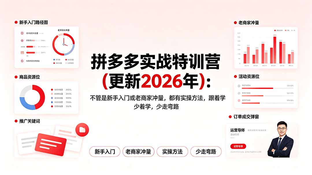 拼多多实战特训营(更新2026年-天梦资源网