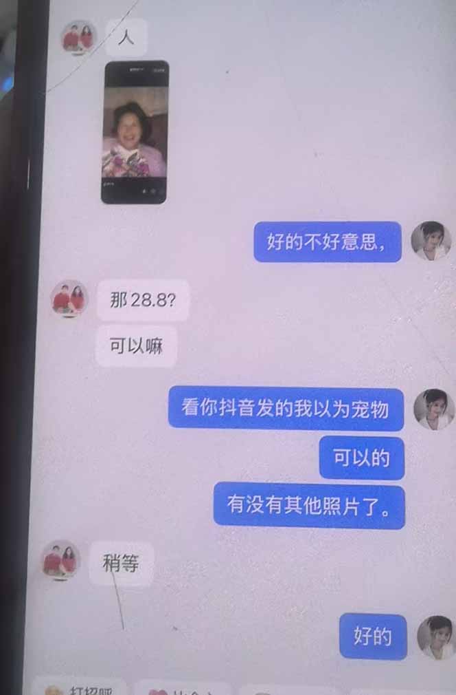 思念亲人AI视频教程：亲人复活+人物替换技术，条条几万赞爆款作品制作-天梦资源网