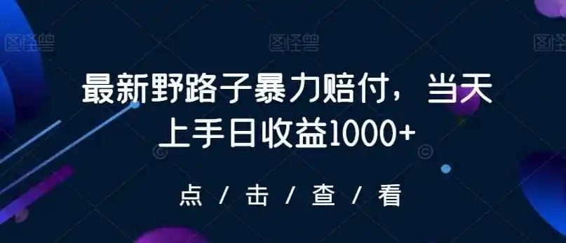 最新野路子暴力赔付，当天上手日收益1000+【仅揭秘】-天梦资源网
