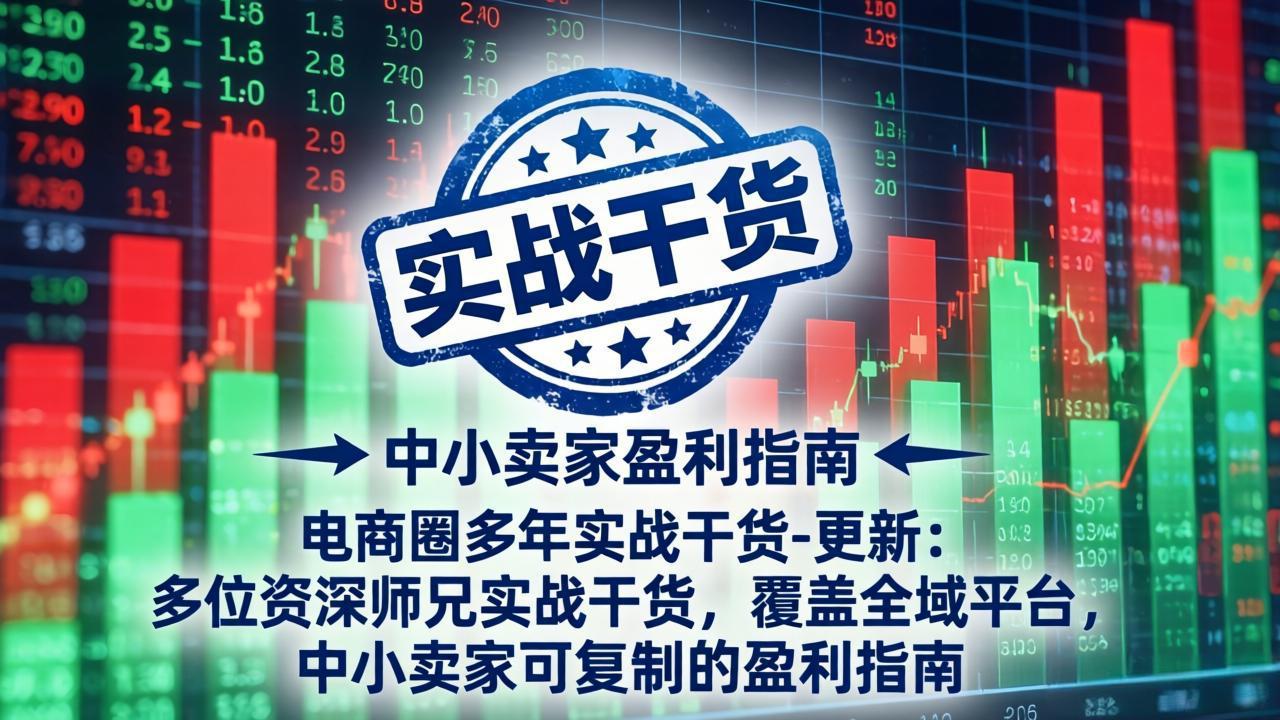 电商圈多年实战干货-更新2026：多位资深师兄实战干货/覆盖全域平台，中小卖家可复制的盈利指南-天梦资源网