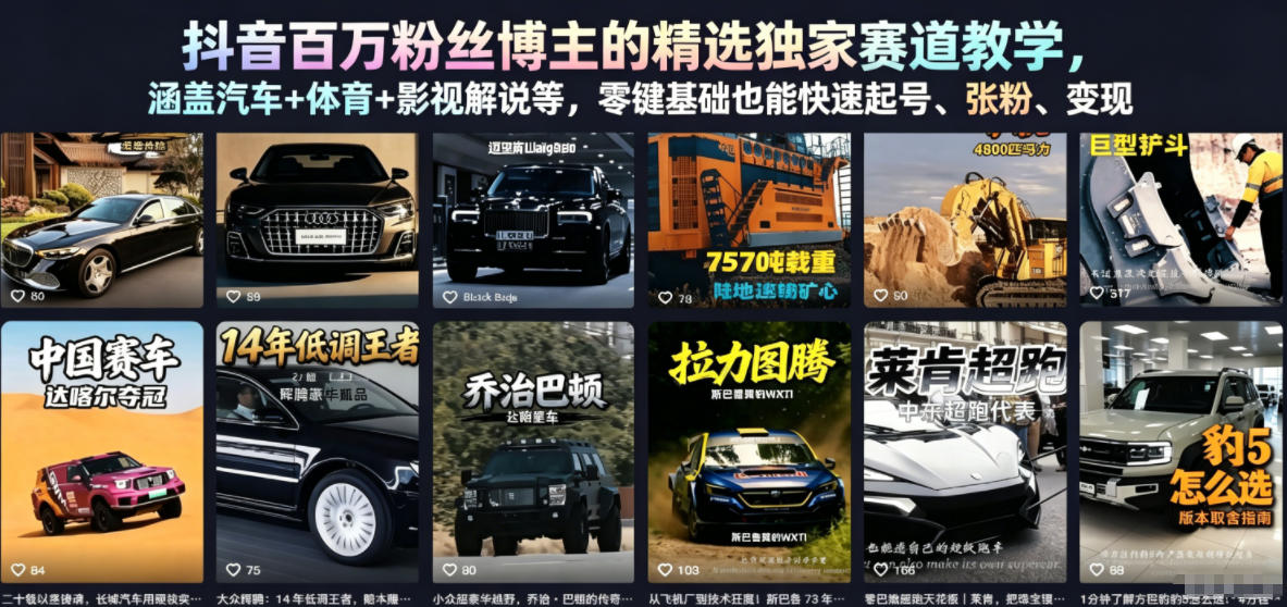 抖音百万粉丝博主的精选独家赛道教学，涵盖汽车+体育+影视解说等，零基础也能快速起号、涨粉、变现-天梦资源网