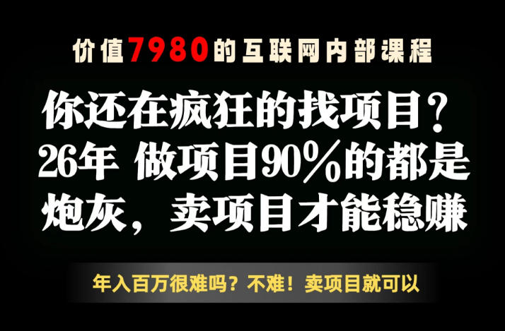 26年请不要疯狂的找项目了，卖项目远比你想象的暴利，你也可以月入10W+【揭秘】-天梦资源网