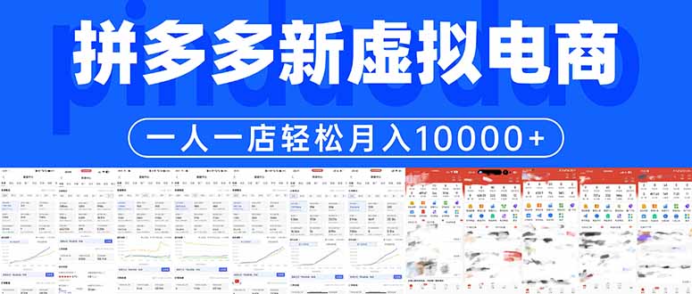 拼多多虚拟电商一人一店轻松月入10000+-天梦资源网