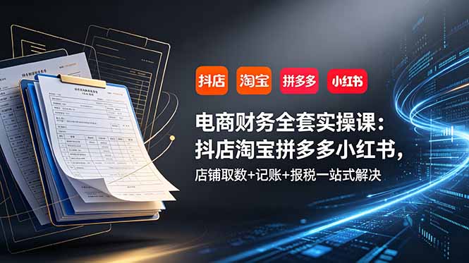 电商财务全套实操课：抖店淘宝拼多多小红书，店铺取数+记账+报税一站式解决-天梦资源网