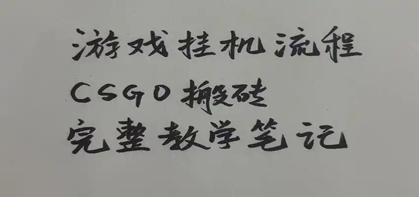 游戏挂机全流程笔记分享，CSGO游戏搬砖，小白看了当天学会见收益-天梦资源网
