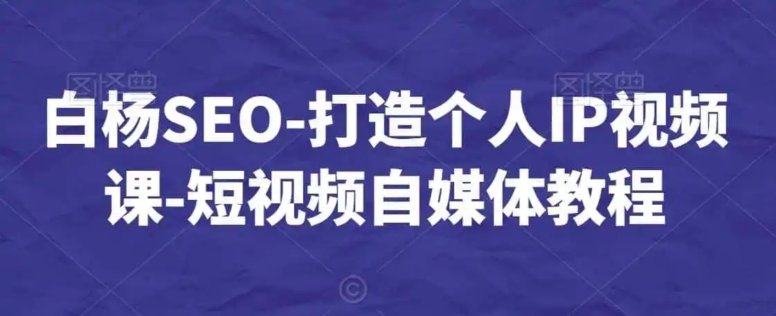 白杨SEO-打造个人IP视频课-短视频自媒体教程-天梦资源网