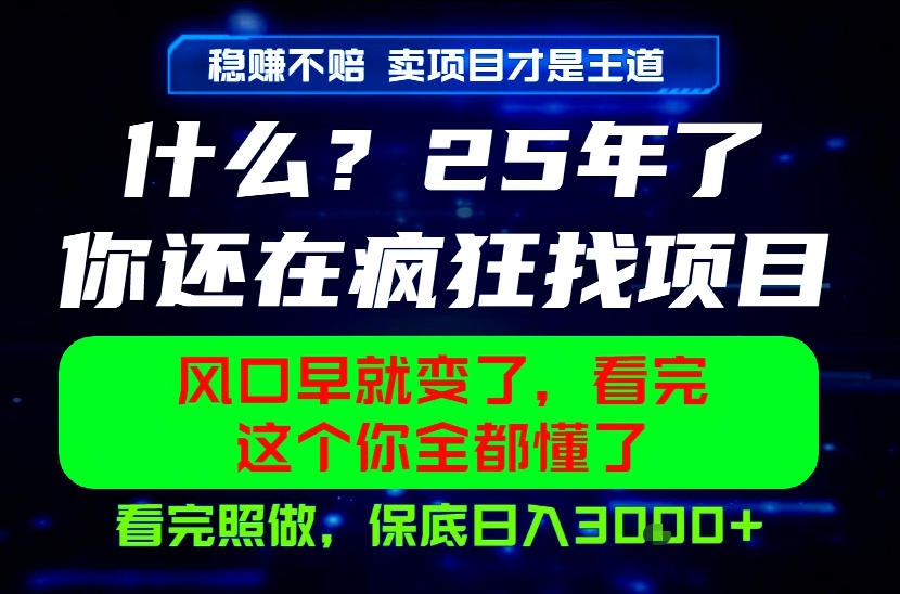 26年，请不要疯狂的找项目做了！卖项目才是真的稳賺不赔，看完照做，保底日入1k+【揭秘】-天梦资源网