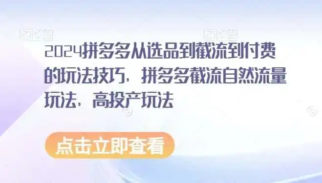 2024拼多多从选品到截流到付费的玩法技巧，拼多多截流自然流量玩法，高投产玩法-天梦资源网