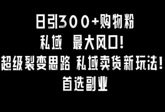 日引300+购物粉，超级裂变思路，私域卖货新玩法，小红书首选副业【揭秘】-天梦资源网