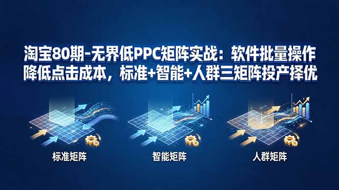 淘宝80期-无界低PPC矩阵实战：软件批量操作降低点击成本，标准+智能+人群三矩阵投产择优-天梦资源网