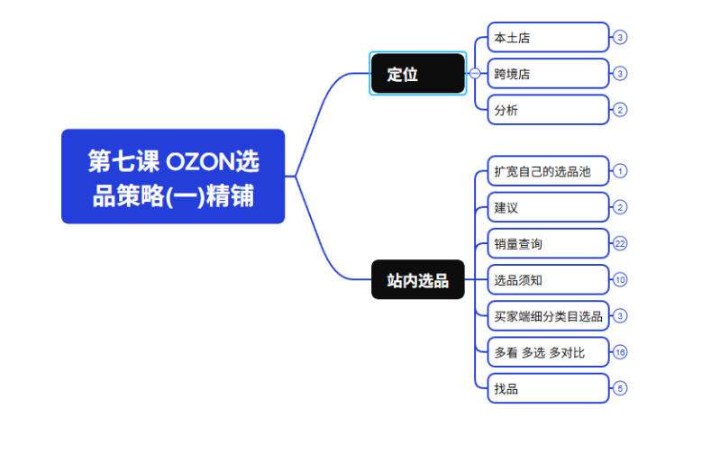 2026最新OZON全流程运营实操跨境电商平台教程，OZON全流程一站式系统学习必修课，从开店到跟卖到精铺-天梦资源网