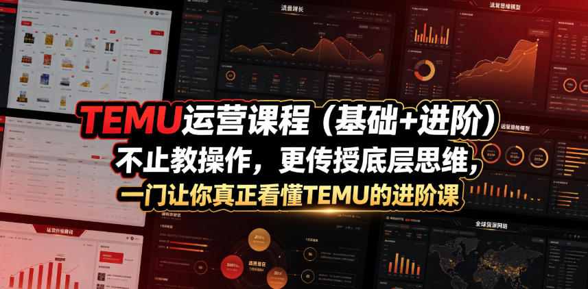 TEMU运营课程(基础+进阶)，不止教操作，更传授底层思维，一门让你真正看懂TEMU的进阶课-天梦资源网