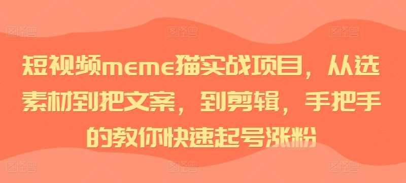 短视频meme猫实战项目，从选素材到把文案，到剪辑，手把手的教你快速起号涨粉-天梦资源网