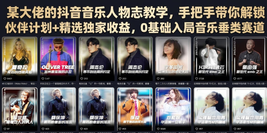某大佬的抖音音乐人物志教学，手把手带你解锁伙伴计划+精选独家收益，0基础入局音乐垂类赛道-天梦资源网