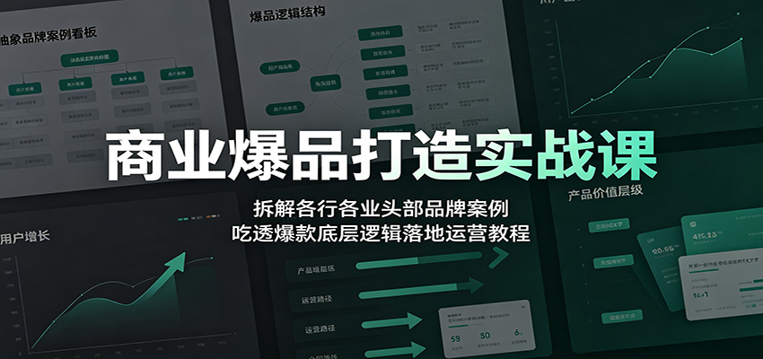 商业爆品打造实战课：拆解各行各业头部品牌案例，吃透爆款底层逻辑落地运营教程-天梦资源网