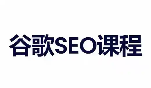 小白新君SEO·谷歌搜索引擎优化SEO教程(部分更新2026)-天梦资源网