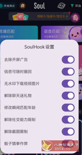 Soul v5.86.0内置模块 Soul v5.86.0内置模块