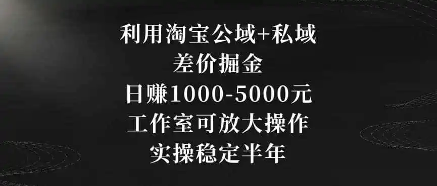 利用淘宝公域+私域差价掘金，日赚1000-5000元，工作室可放大操作，实操稳定半年【揭秘】-天梦资源网