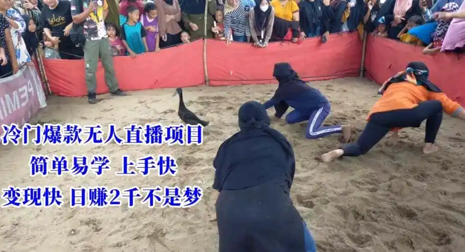 冷门爆款无人直播项目，简单易学上手快，变现快日赚2千不是梦【揭秘】-天梦资源网