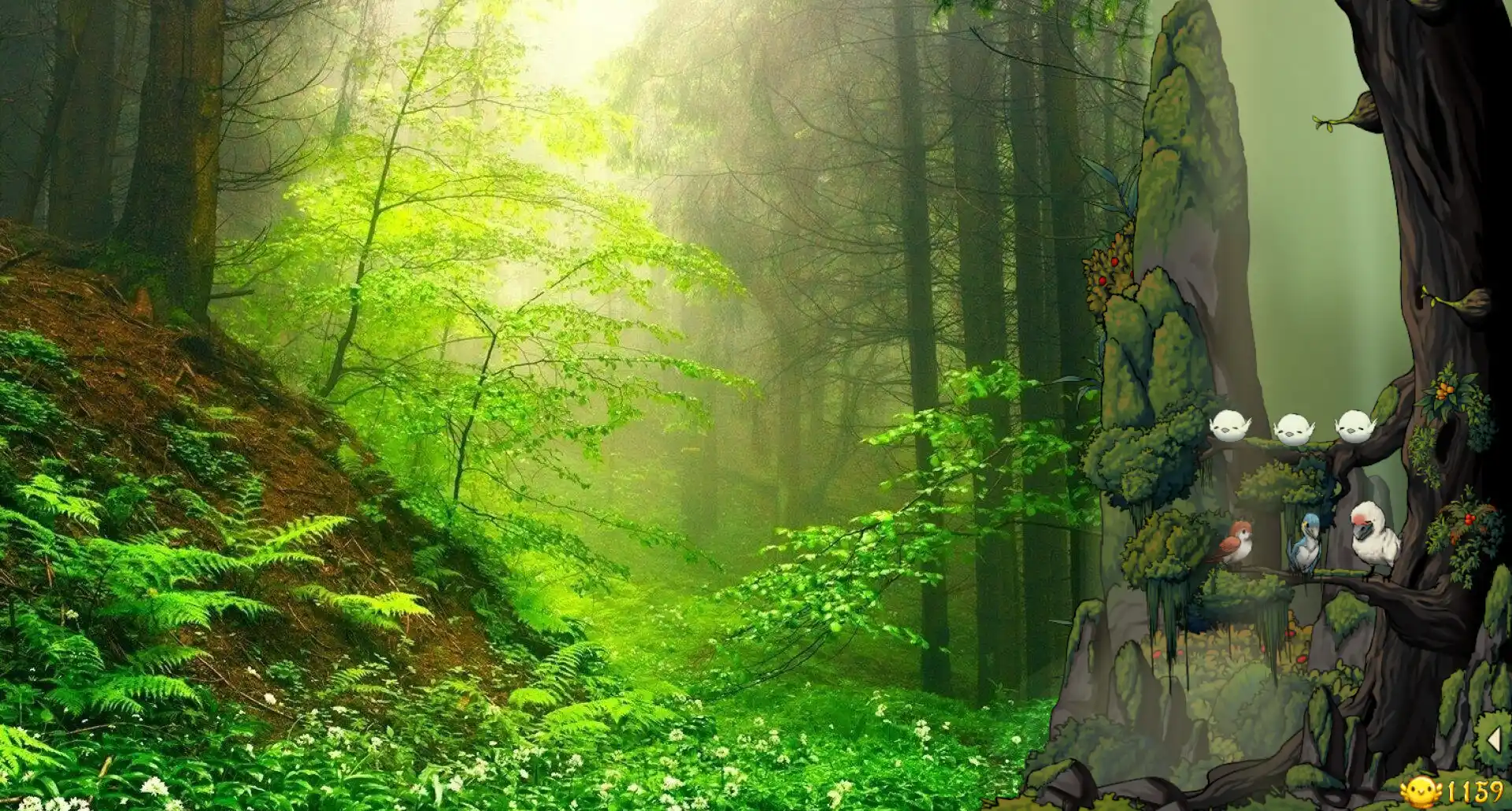 幻鸟之森/Fantasy Bird Woods-天梦资源网