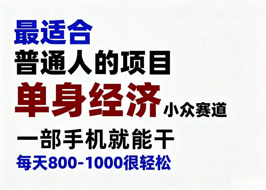 身经济小众赛道，一部手机就能干，每天搞个800-1000很轻松，最适合普通人的项目【揭秘】-天梦资源网